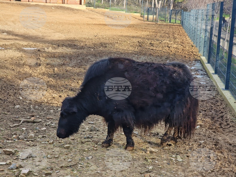 Стара Загора - зоопарк