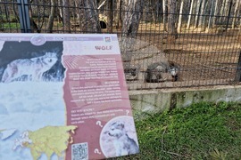 Стара Загора - зоопарк