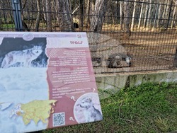 Стара Загора - зоопарк