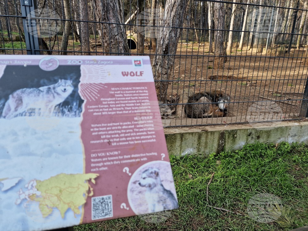 Стара Загора - зоопарк