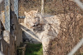 Стара Загора - зоопарк