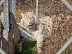 Стара Загора - зоопарк