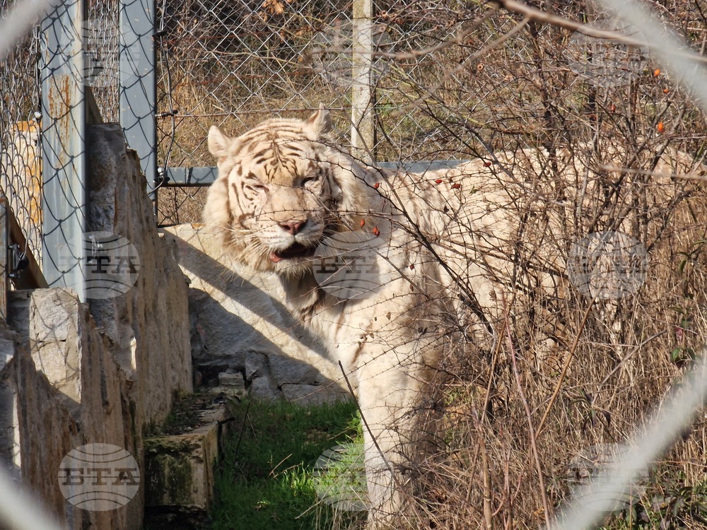 Стара Загора - зоопарк