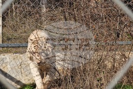 Стара Загора - зоопарк