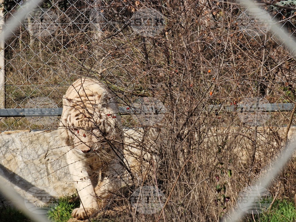 Стара Загора - зоопарк