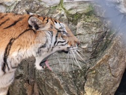 Стара Загора - зоопарк