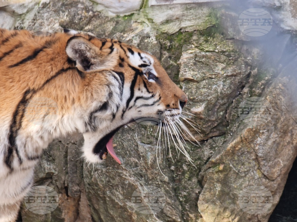 Стара Загора - зоопарк