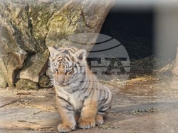 Стара Загора - зоопарк