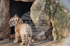 Стара Загора - зоопарк