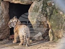 Стара Загора - зоопарк