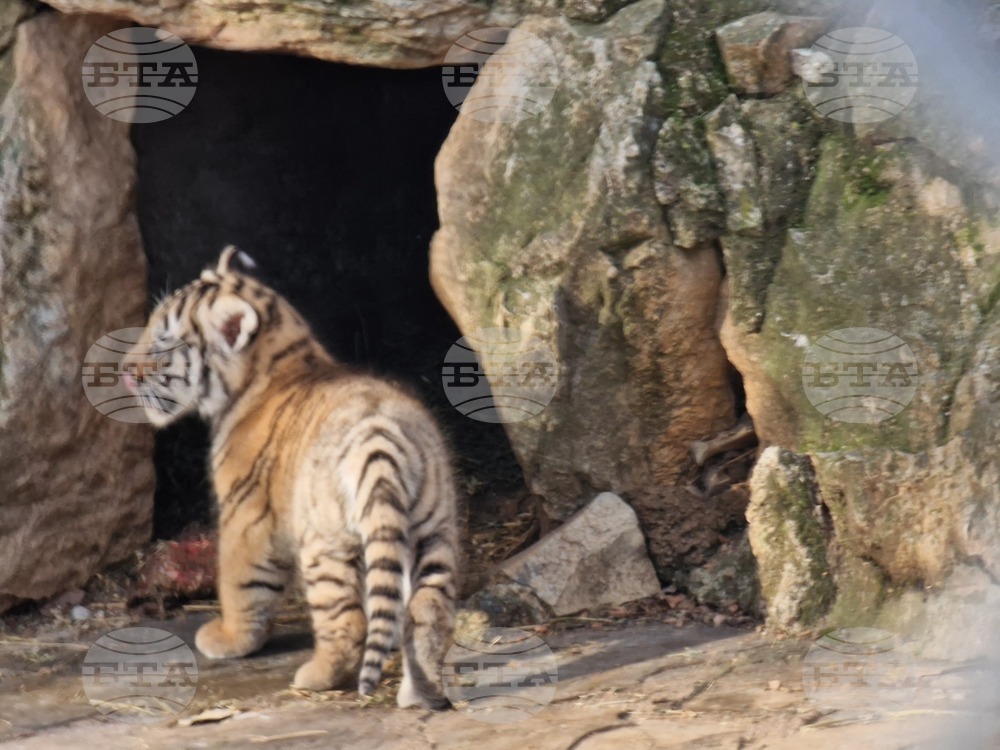 Стара Загора - зоопарк