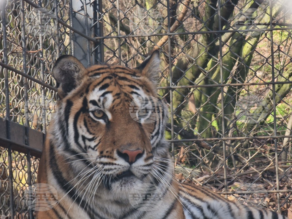 Стара Загора - зоопарк