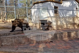 Стара Загора - зоопарк