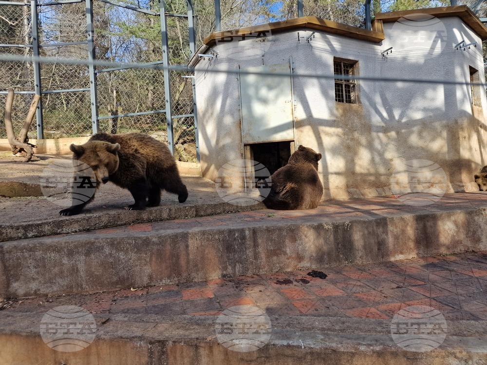 Стара Загора - зоопарк