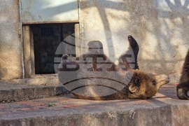 Стара Загора - зоопарк