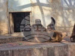 Стара Загора - зоопарк