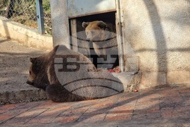 Стара Загора - зоопарк