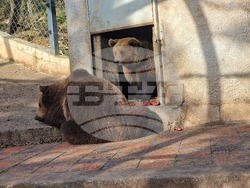 Стара Загора - зоопарк