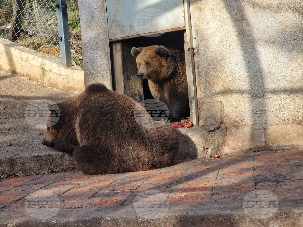 Стара Загора - зоопарк