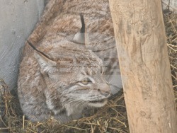 Стара Загора - зоопарк
