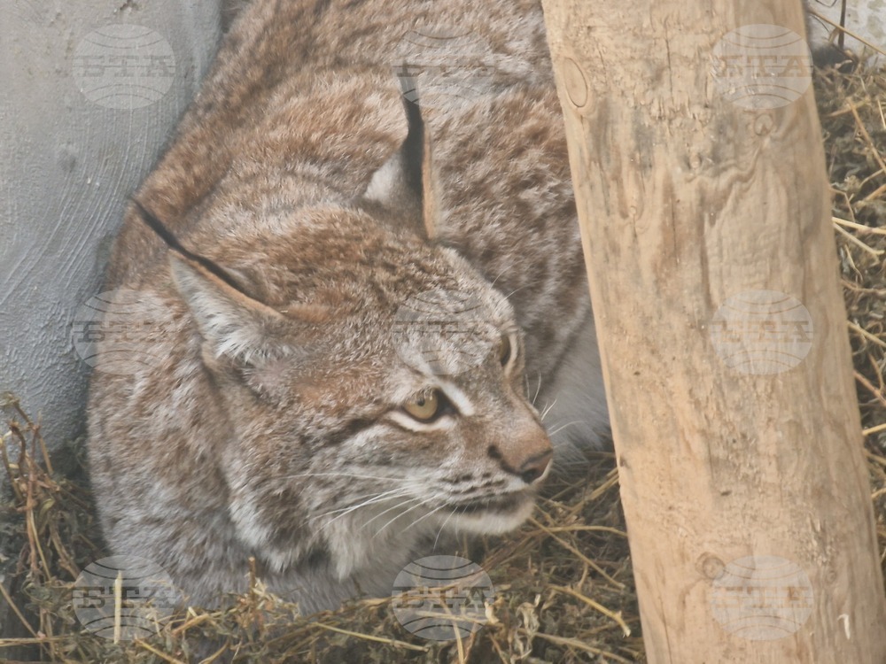Стара Загора - зоопарк