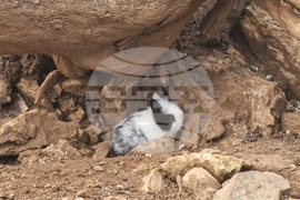 Стара Загора - зоопарк