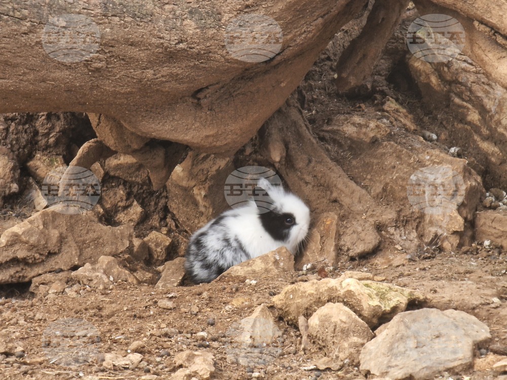 Стара Загора - зоопарк