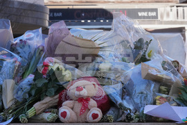 Switzerland Bar Fire