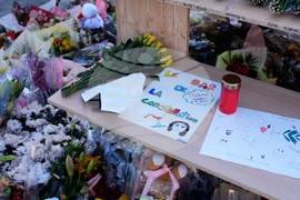 Switzerland Bar Fire