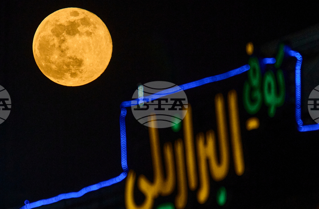 Iraq Wolf Supermoon