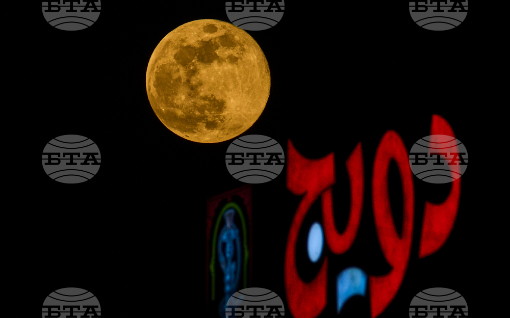Iraq Wolf Supermoon