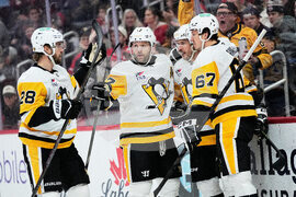 Penguins Red Wings Hockey