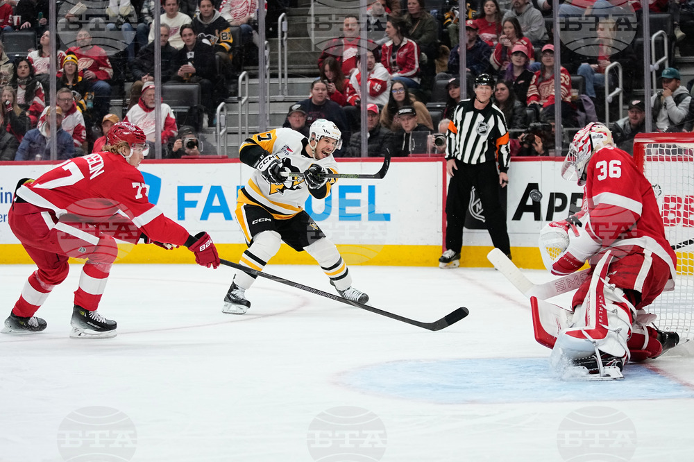 Penguins Red Wings Hockey