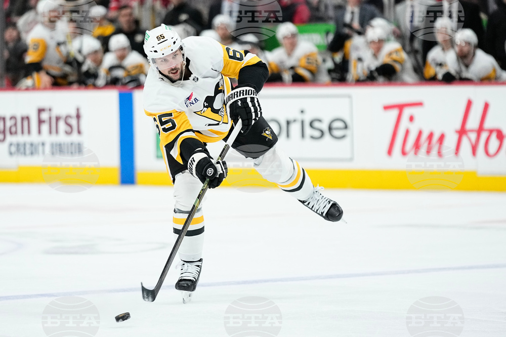 Penguins Red Wings Hockey