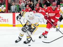 Penguins Red Wings Hockey