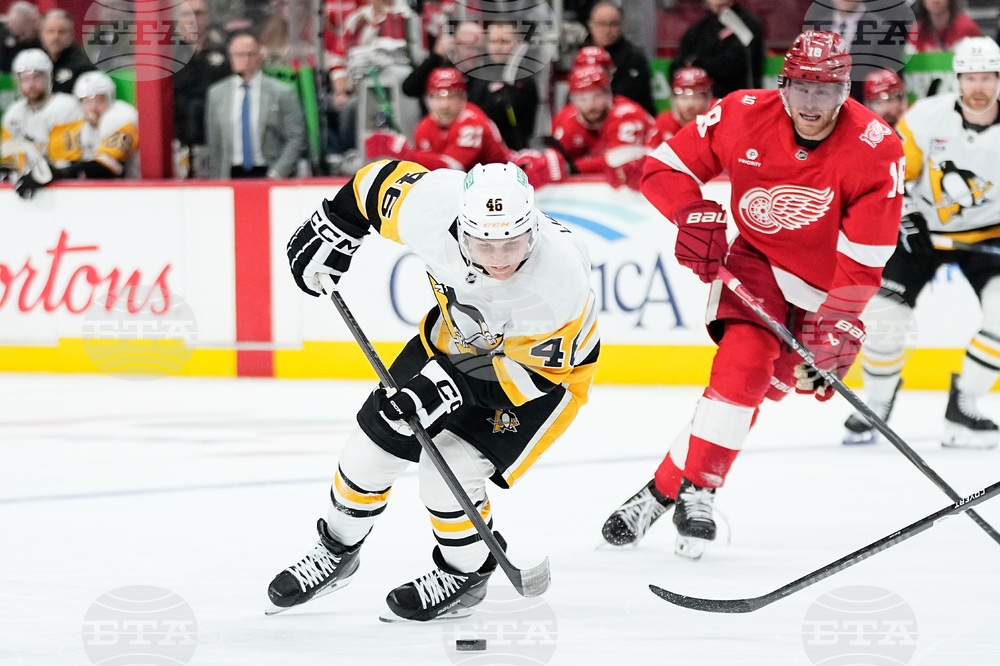 Penguins Red Wings Hockey