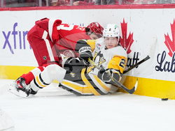 Penguins Red Wings Hockey