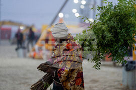 India Hindu Festival
