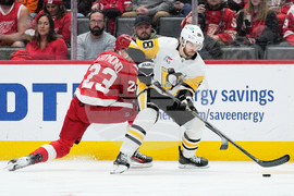 Penguins Red Wings Hockey