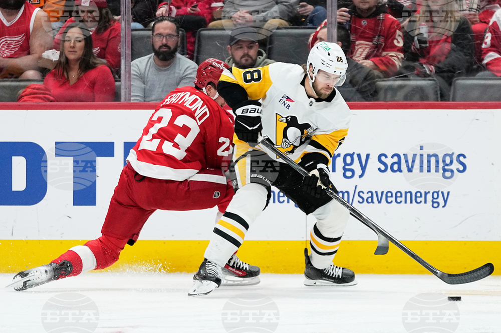 Penguins Red Wings Hockey