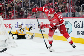 Penguins Red Wings Hockey