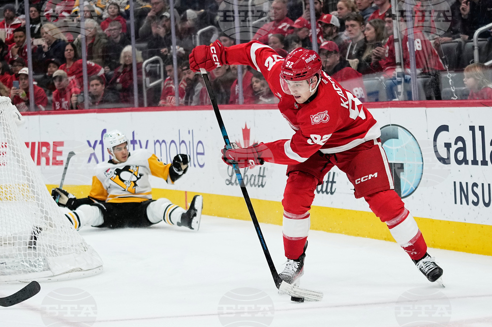 Penguins Red Wings Hockey