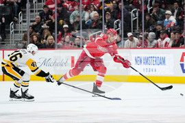 Penguins Red Wings Hockey