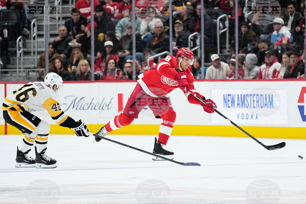 Penguins Red Wings Hockey