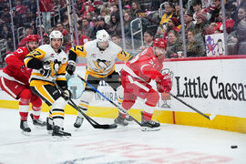 Penguins Red Wings Hockey