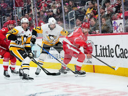 Penguins Red Wings Hockey