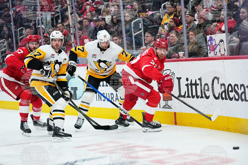 Penguins Red Wings Hockey