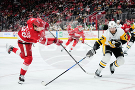 Penguins Red Wings Hockey