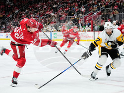 Penguins Red Wings Hockey