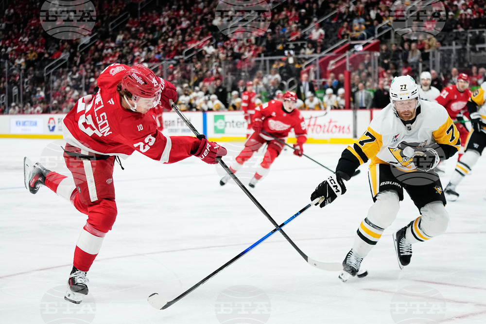 Penguins Red Wings Hockey